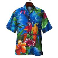 cms/erpbt/backend/web/uploads/erp/collection/images/Women clothes/FRYJ/EN450313/img_b/EN450313_img_b_3